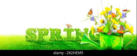 Buntes Wildblumenstrauß in einer Gießkannen mit Schmetterlingen. Stockfoto