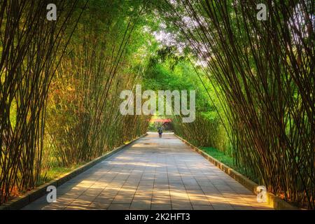 Wangjianglou Park. Chengdu, Sichuan, China Stockfoto