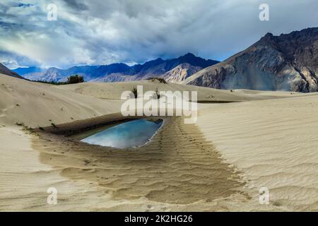 Sanddünen im Himalaya. Hunter, Nubra-Tal, Ladakh. Indien Stockfoto