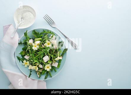 Frühjahr Salat Stockfoto