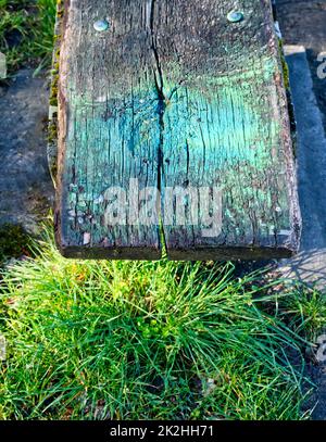 Teil einer Holzbank, mit neongrüner Farbe befleckt, im Gegensatz zum grünen Gras unten (von der Sonne erhellt) Stockfoto