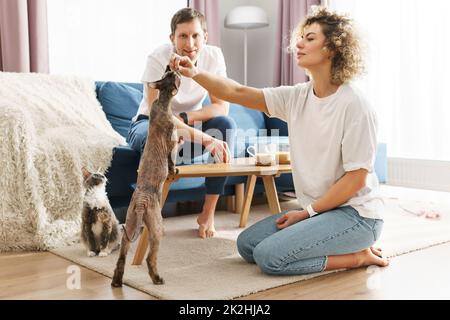 Glückliches weißes Paar und ihre süßen Katzen zu Hause Stockfoto