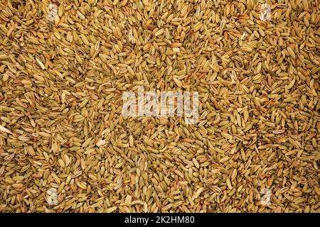 Kümmel/Fenchel Samen auf dem Lebensmittelmarkt in Kyrenia, Zypern Stockfoto