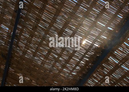 Blick durch Palmen Dach, Sonne hinter glänzen. Abstrakte tropischen Hintergrund. Stockfoto