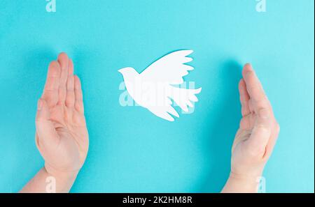 Eine weiße Taube in den Händen haltend, Symbol des Friedens, Papier ausgeschnittene Taube, Platz für Text kopieren, blauer Hintergrund Stockfoto