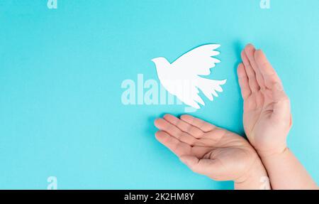 Eine weiße Taube in den Händen haltend, Symbol des Friedens, Papier ausgeschnittene Taube, Platz für Text kopieren, blauer Hintergrund Stockfoto