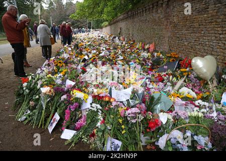 Sandringham, Großbritannien. 20. September 2022. Ein Meer von Blumengeldern, die am 20. September an den Norwich Gates, Sandringham, Norfolk, Großbritannien, hinterlassen wurden, 2022. Das Land hat seine offizielle Trauer um Königin Elisabeth II. Beendet, die von König Karl III. Abgelöst wurde Königin Elizabeth II. Starb am 8. September 2022, als sie im Balmoral Castle in Schottland wohnte. Kredit: Paul Marriott/Alamy Live Nachrichten Stockfoto