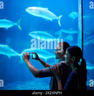 Aufnahmen von Meereserinnerungen. Aufnahme eines jungen Paares, das einen Schnappschuss der Fische in einem Aquarium gemacht hat. Stockfoto