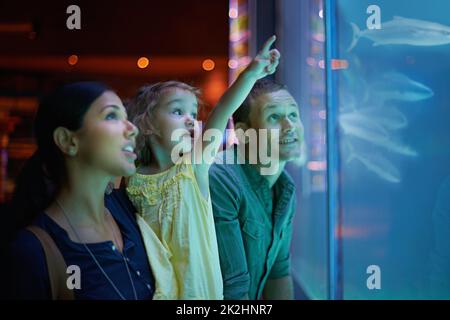 Entdecken Sie die Unterwasserwelt. Aufnahme einer dreiköpfigen Familie bei einem Ausflug ins Aquarium. Stockfoto