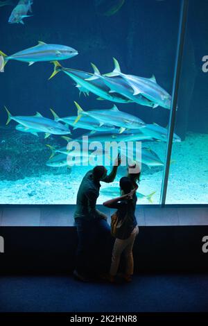 Dort, um die Meeresbewohner zu sehen. Aufnahme einer dreiköpfigen Familie bei einem Ausflug ins Aquarium. Stockfoto