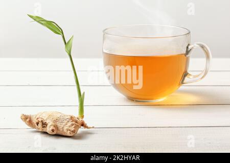 Tasse frisch gebrühten dampfenden Tee auf White boards Schreibtisch, Glas nass von Feuchtigkeit, trockene Ingwer Wurzel mit grünen sprießen Neben Stockfoto