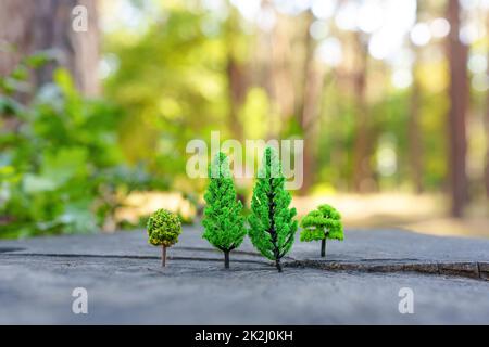 Spielzeugbäume wachsen auf einem Baumstumpf vor einem echten Herbstwald Hintergrund. Stockfoto