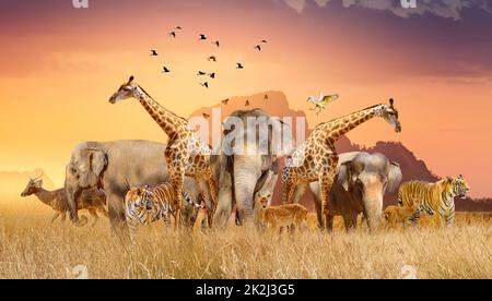 World Wildlife Day Gruppen von wilden Tieren wurden in großen Herden auf dem offenen Feld am Abend versammelt, als die goldene Sonne schien. Stockfoto