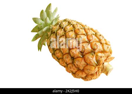 Eine frische reife Ananas isoliert auf weißem Hintergrund Stockfoto