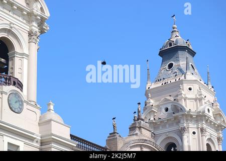 Condor der Flug zwischen den Twin Bell Towers der Kathedrale von Lima, einem Wahrzeichen im historischen Zentrum von Lima, Peru, Südamerika Stockfoto