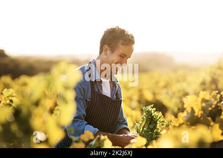 Sie werden direkt aus der Quelle abgeholt. Ausgeschnittene Aufnahme eines jungen Mannes, der auf einem Bauernhof arbeitet. Stockfoto