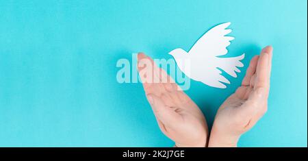 Eine weiße Taube in den Händen haltend, Symbol des Friedens, Papier ausgeschnittene Taube, Platz für Text kopieren, blauer Hintergrund Stockfoto