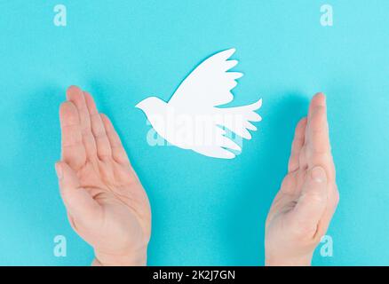 Eine weiße Taube in den Händen haltend, Symbol des Friedens, Papier ausgeschnittene Taube, Platz für Text kopieren, blauer Hintergrund Stockfoto