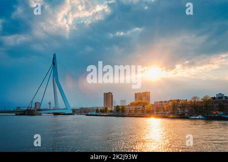 Skyline von Rotterdam mit Erasmusbrug-Brücke über Nieuwe Maas im Contre-jur auf der Sunse, Niederlande. Stockfoto