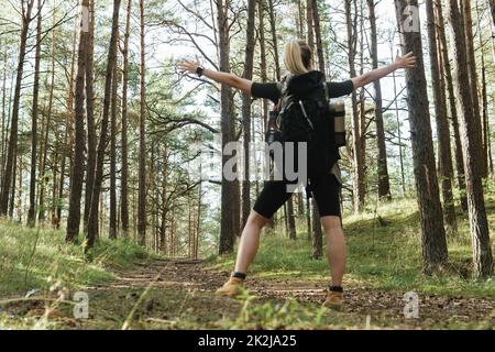 Wanderer mit großem Rucksack im grünen Wald. Konzentrieren Sie sich auf Bäume. Stockfoto