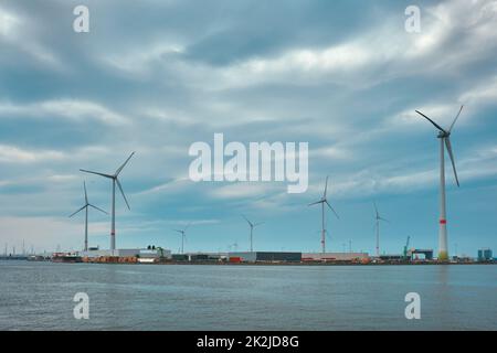 Windturbinen im Hafen von Antwerpen bei Sonnenuntergang. Stockfoto