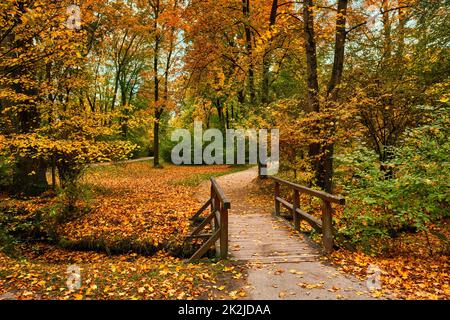 Englischer Garten in München englischer garten Park im Herbst. München, Bayern, Deutschland Stockfoto