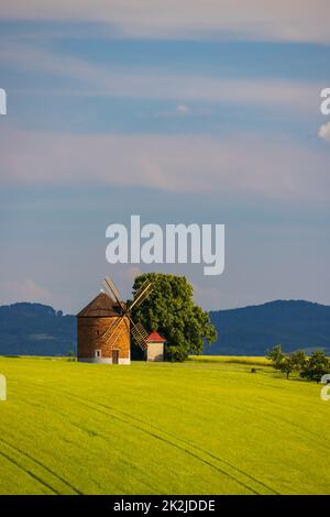 Windmühle in Chvalkovice, Südmähren, Tschechische Republik Stockfoto