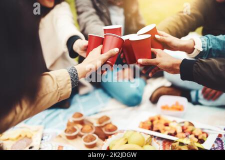 Cheers an alle meine guten Freunde. Aufnahme einer Gruppe von nicht erkennbaren Menschen, die tagsüber bei einem Picknick im Freien mit einem festlichen Toast feiern. Stockfoto