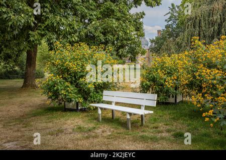 Weißes Ufer inmitten eines schönen Parks in der Nähe von Schloss Lembeck in Dorsten, Deutschland Stockfoto