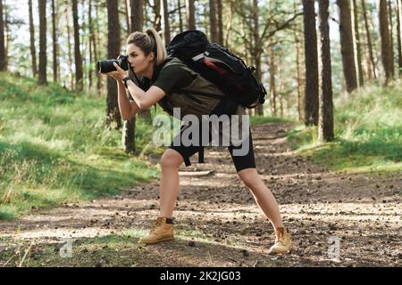 Wanderer fotografiert mit einer modernen spiegellosen Kamera im grünen Wald Stockfoto