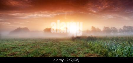 Nebliger Sonnenaufgang über der Farm. Eine malerische Farmszene, die vom frühen Morgennebel bedeckt ist. Stockfoto