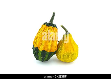 Bunte Kürbisse und Squashes auf Weiß isoliert Stockfoto