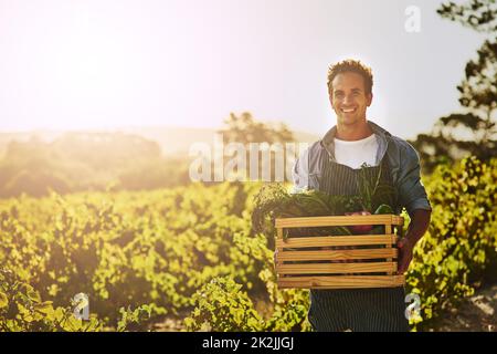 Diese Ernte war großartig. Aufnahme eines jungen Mannes, der auf einem Bauernhof eine Kiste voller frisch gepflückter Produkte in der Hand hält. Stockfoto