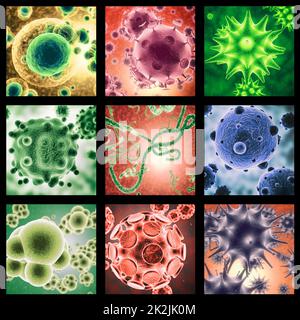 Ist Ihr Immunsystem bereit? Ein kombiniertes Bild verschiedener Mikroorganismen, die unter einem Mikroskop in Farbe gesehen werden. Stockfoto