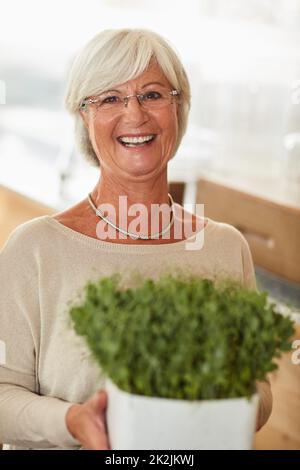 Grün werden. Das Geschenk, das immer wieder gibt. Porträt einer glücklichen älteren Frau, die eine Topfpflanze hält. Stockfoto