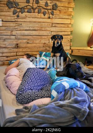 Viel Ruhe bekommen, bevor das Baby kommt. Aufnahme einer Schwangeren, die zu Hause friedlich in ihrem Bett schläft. Stockfoto