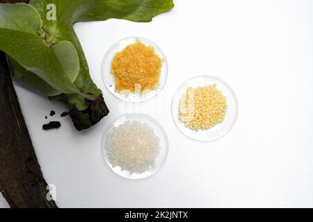 Bio-Carnauba-Wachs, Candelilla-Wachs und Badekristall aus chemischem Uhrglas Platz in der Nähe von Platycerium stemaria Farnen auf weißem Tisch. Draufsicht Stockfoto