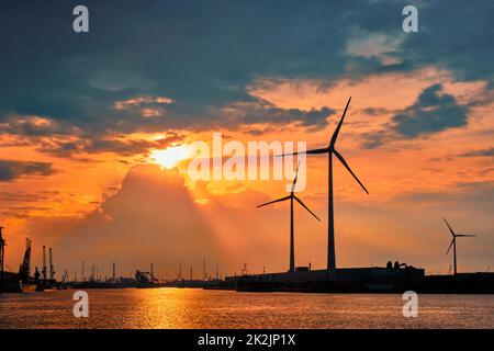 Windturbinen im Hafen von Antwerpen bei Sonnenuntergang. Stockfoto