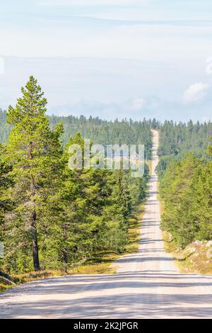 Lange gerade Schotterstraße in einem Kiefernwald Stockfoto