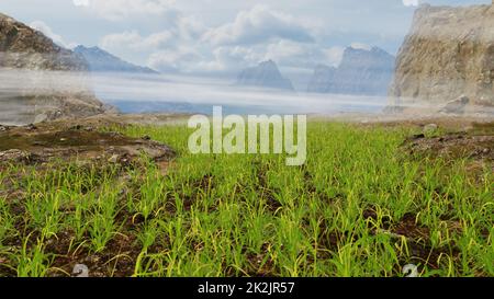 Über Die Wiese Fliegen Stockfoto