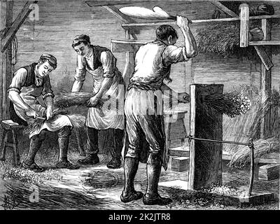 Beim Schlagen der Stiele mit der Hand Flachs abputzen oder andocken. Die langen Fasern der Stammflachsfabrik (Linum) wurden zu Leinen verarbeitet. Stich aus 'Great Industries of Great Britain' (London, c1880). Stockfoto