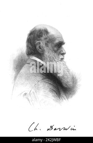 Englische Naturforscher Charles Darwin (1809-1882). Ein Pionier der Theorie der Evolution durch natürliche Selektion. Gravur und Unterschrift Stockfoto