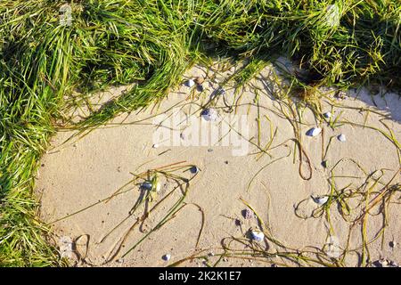 Traumhafte Landschaft von Klein Zicker auf der Ostseeinsel RÃ¼gen Stockfoto