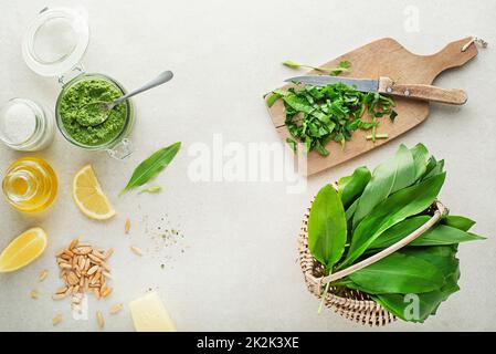 Wildes Knoblauch-Ramson-Pesto Stockfoto