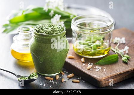 Wildes Knoblauch-Ramson-Pesto Stockfoto