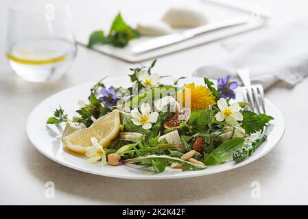 Löwenzahn-Salat-Frühling Stockfoto