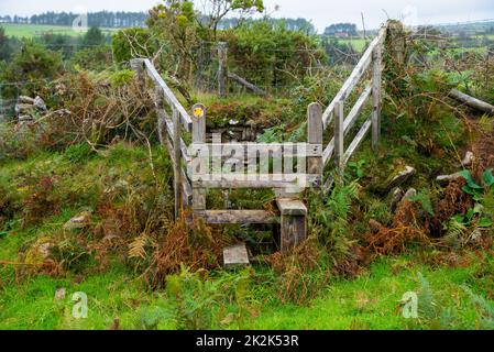 Holzpfahl in der Nähe von St. Breward in Cornwall, Großbritannien. Stiles ermöglicht Personen den Durchgang über den Zaun, verhindert jedoch, dass Tiere von einem Haltungsbereich in einen anderen gelangen. Stockfoto