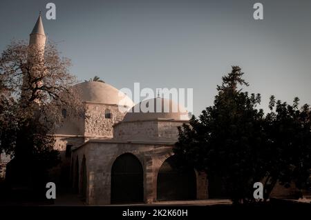 Hala Sultan Tekke. Larnaca, Zypern Stockfoto
