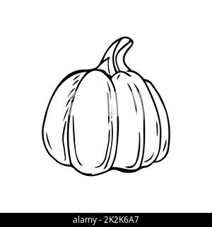 Großer Kürbis, dünne schwarze Linien auf weißem Hintergrund - Vektor Stockfoto