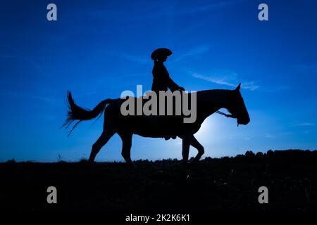 Silhouette Cowgirl on Horse at Sunset in Blue (10) Stockfoto